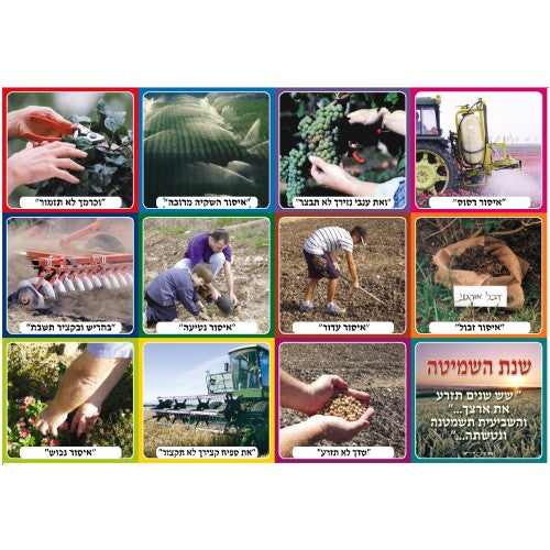 ערכת תמונות שנת שמיטה