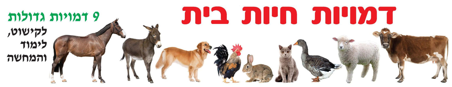 גזירות גדולות להמחשה- חיות בית