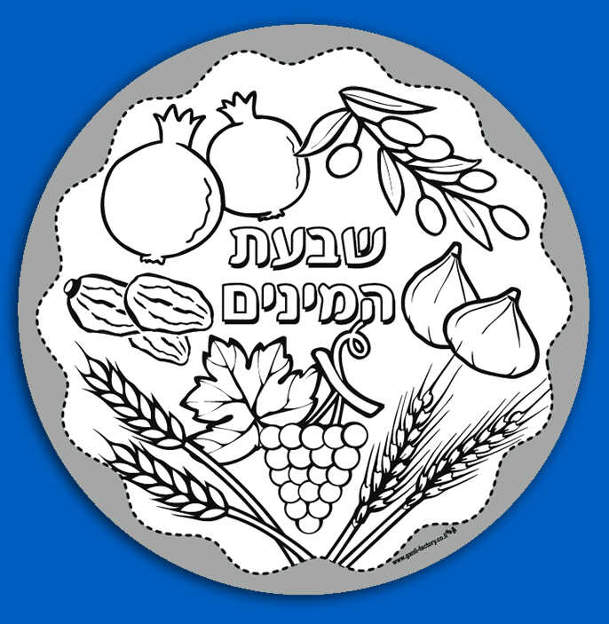 מנדלה לצביעה שבעת המינים