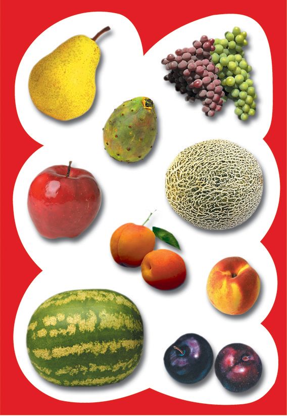 גזירות קרטון פירות קיץ