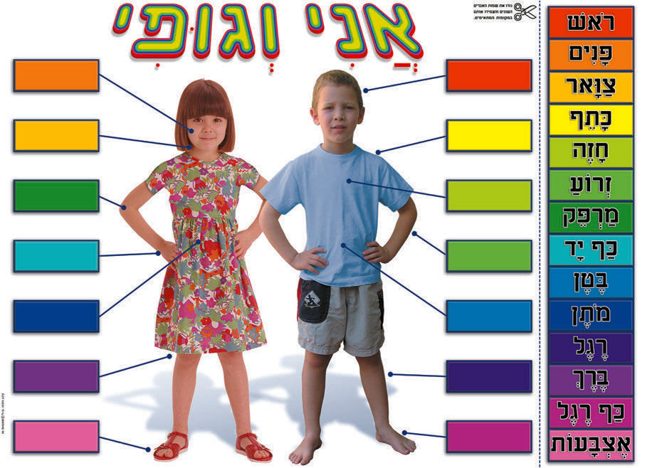 פלקט אני וגופי