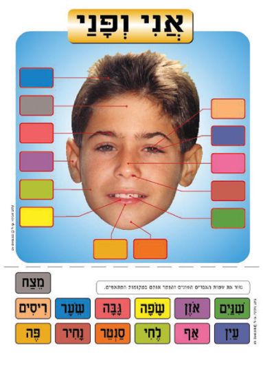 פלקט אני ופני- בינוני