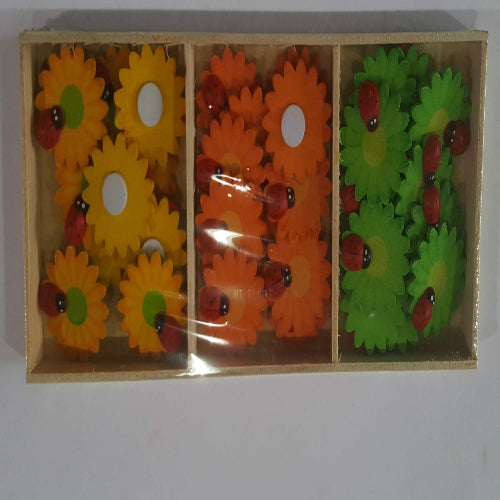 חיפושית על עלה עם מדבקה