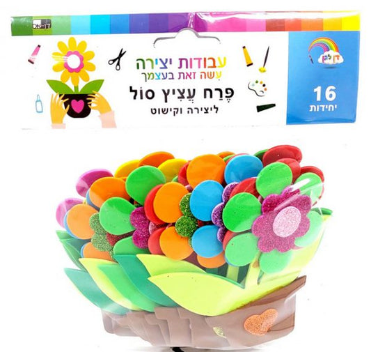 פרח עציץ סול- אזל במלאי