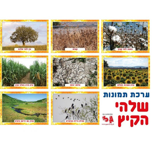 ערכת תמונות שלהי הקיץ