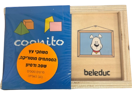 קוגניטו- צורות