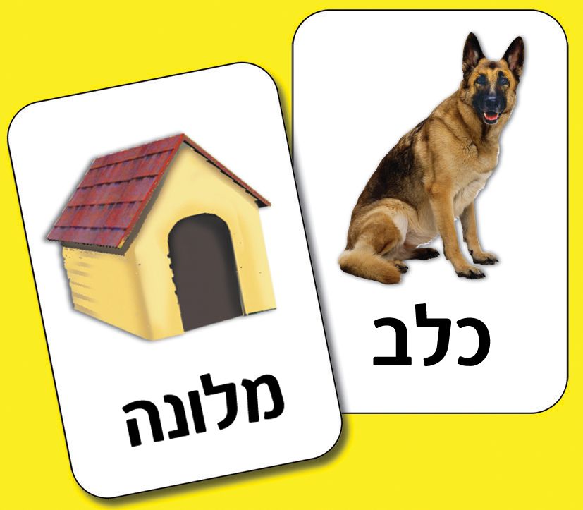 קלפים- היכן אני גר