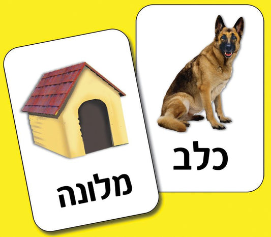 קלפים- היכן אני גר