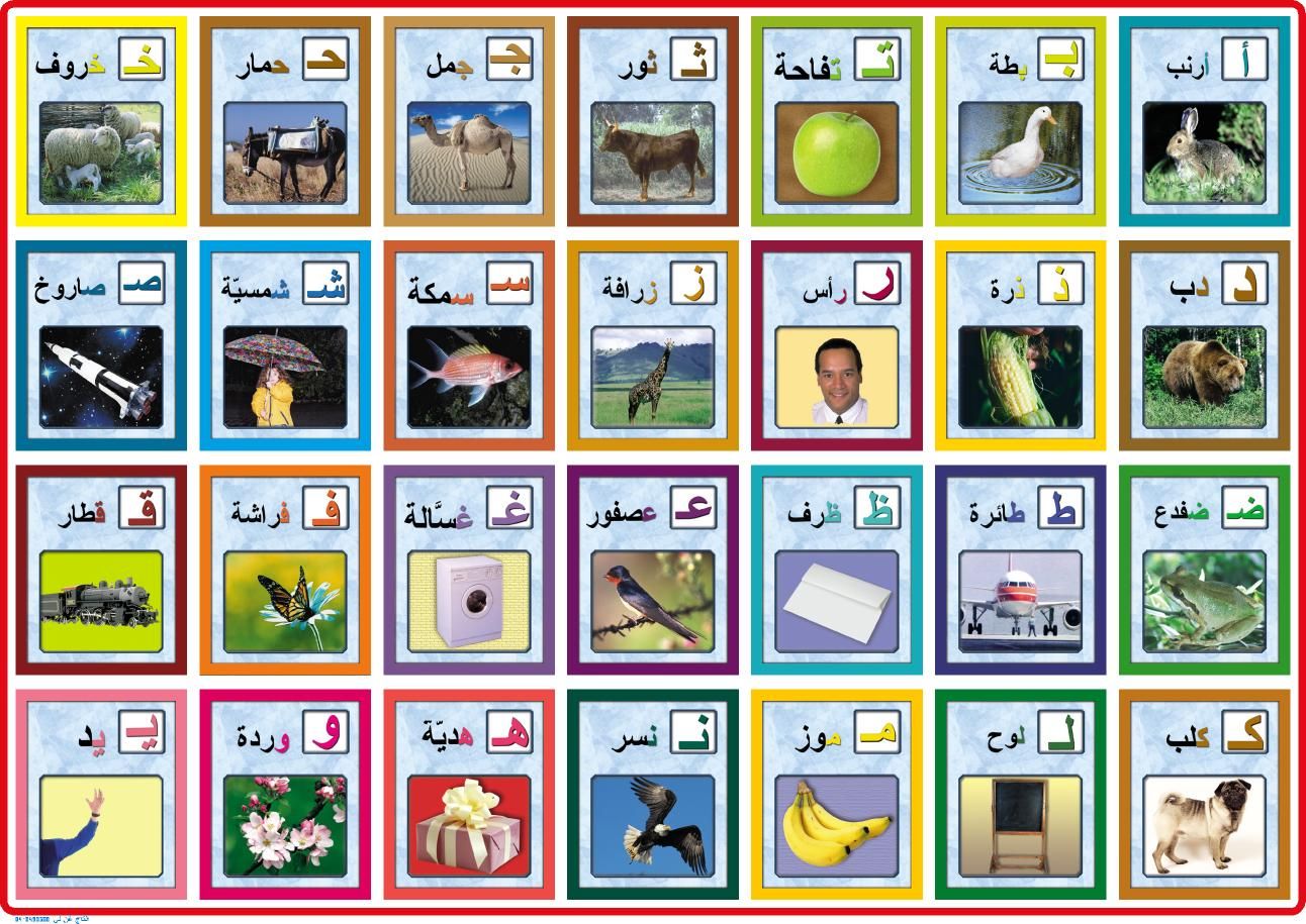 פלקט אותיות בערבית