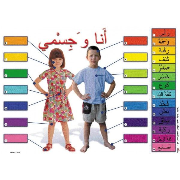 פלקט אני וגופי - ערבית