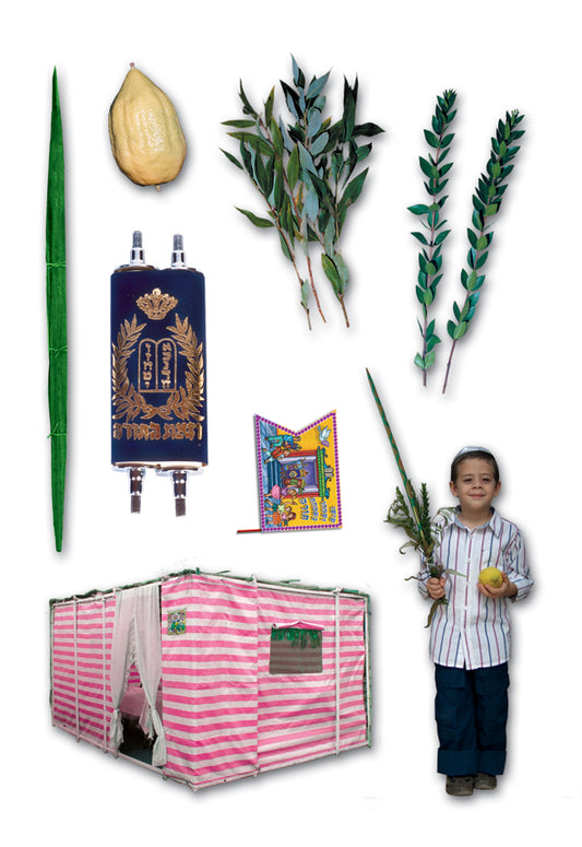 גזירות קרטון סוכות