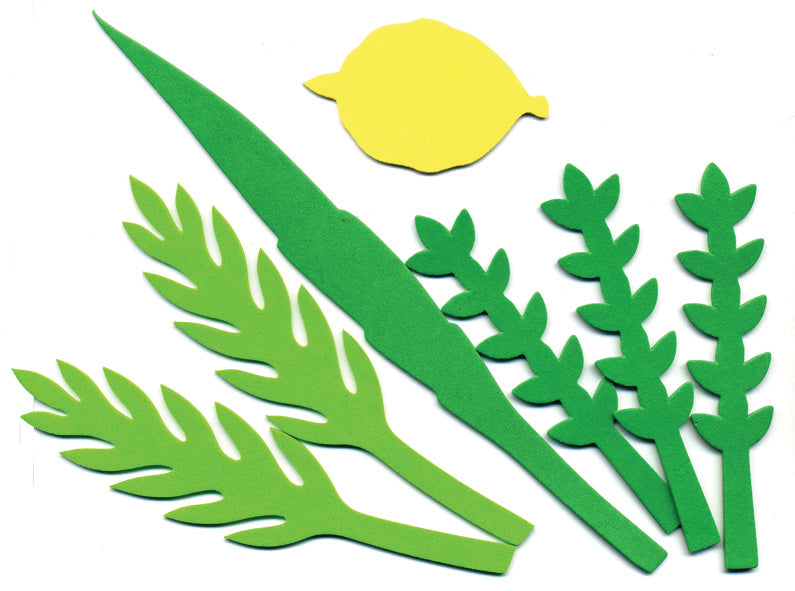 גזירות סול 4 המינים