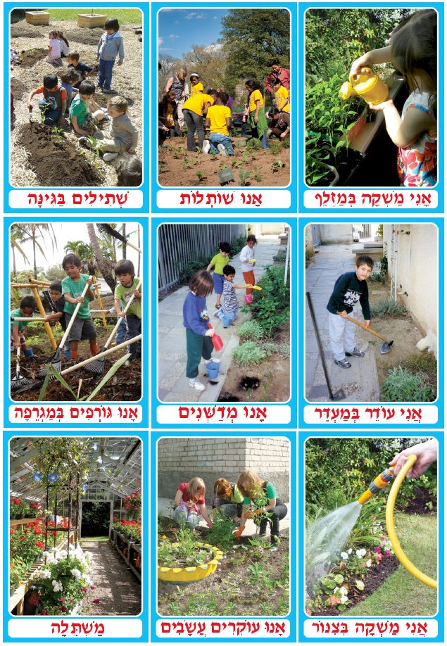 ערכת גינה