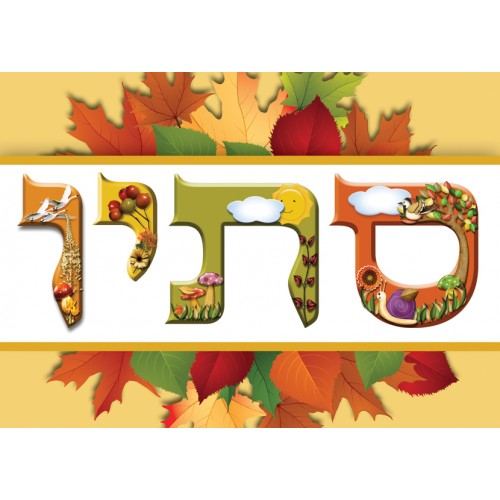 פלקט בינוני סתיו