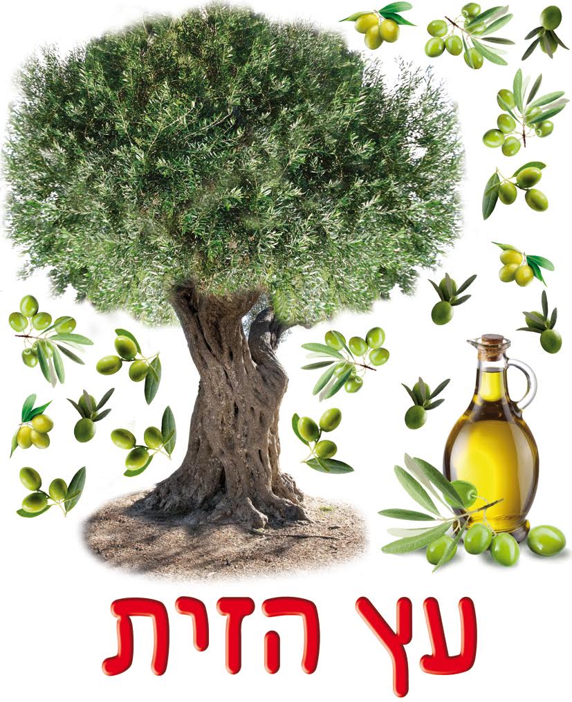 כרזה עץ הזית