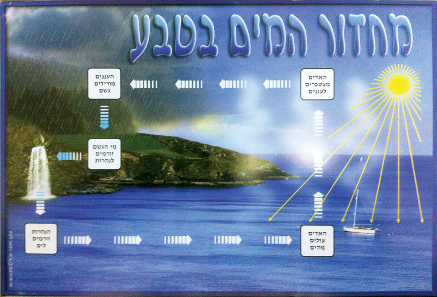 פלקט מחזור המים בטבע