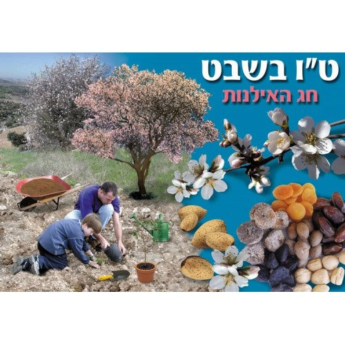 פלקט ט"ו בשבט חג האילנות
