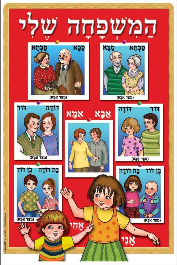 פלקט קשר משפחתי בינוני