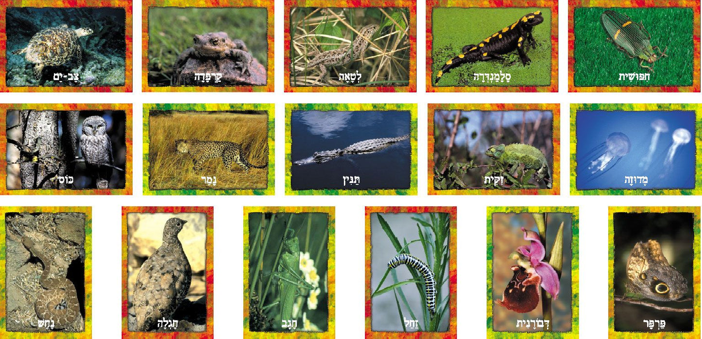 ערכת תמונות תחפושות בטבע