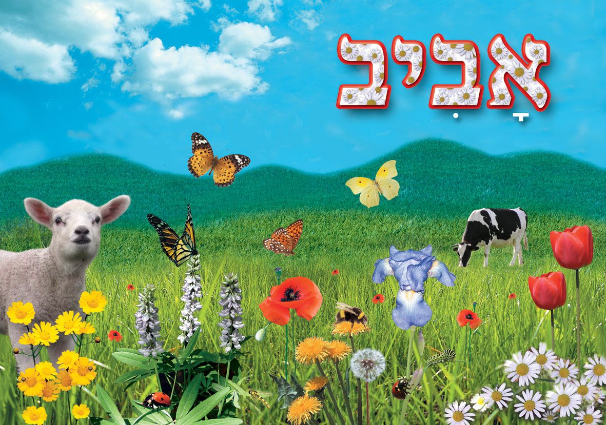 פלקט אביב