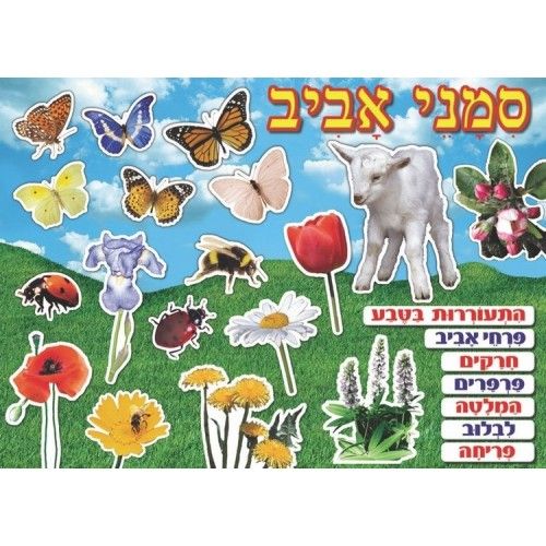 פלקט סמלי אביב