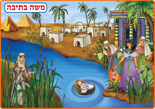 פלקט משה בתיבה