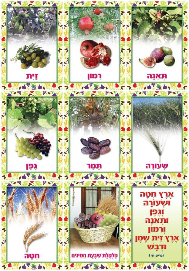 ערכת שבעת המינים