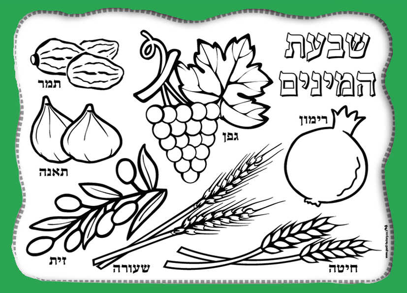 יצירה פלייסמט 7 המינים לצביעה