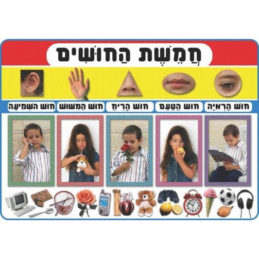 פלקט חמשת החושים