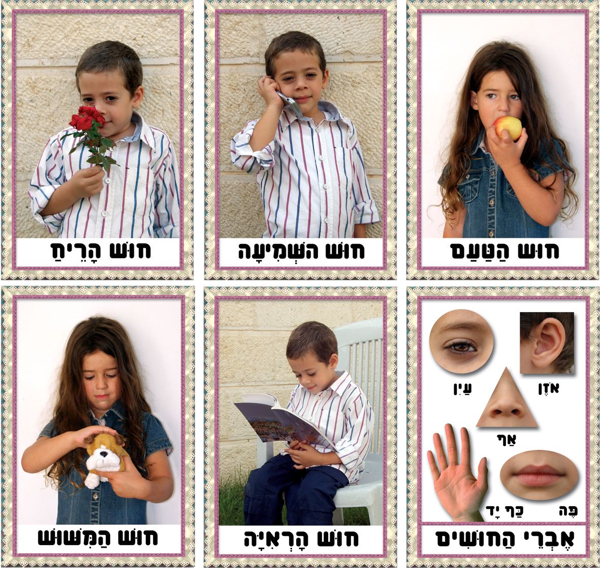 ערכת תמונות חמשת החושים