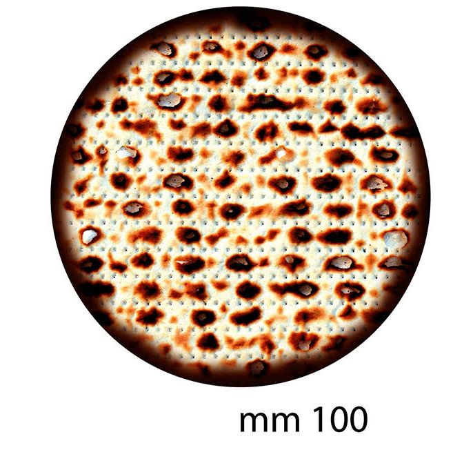 גזירות קרטון מצה עגולה 10 ס"מ