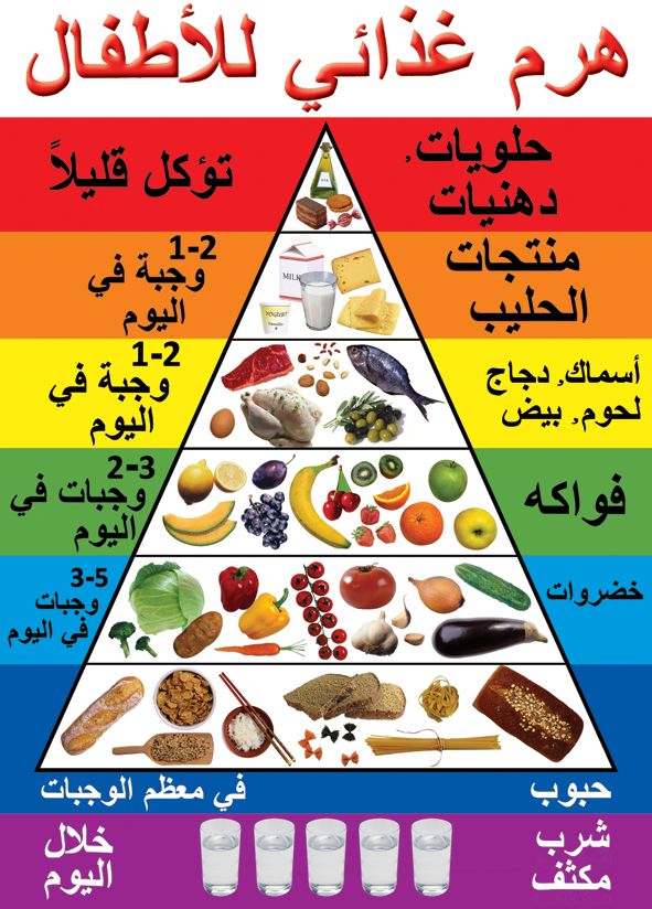 פלקט פירמידת המזון- ערבית