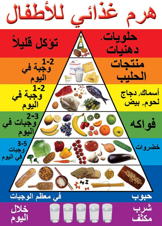 פלקט פירמידת המזון- ערבית