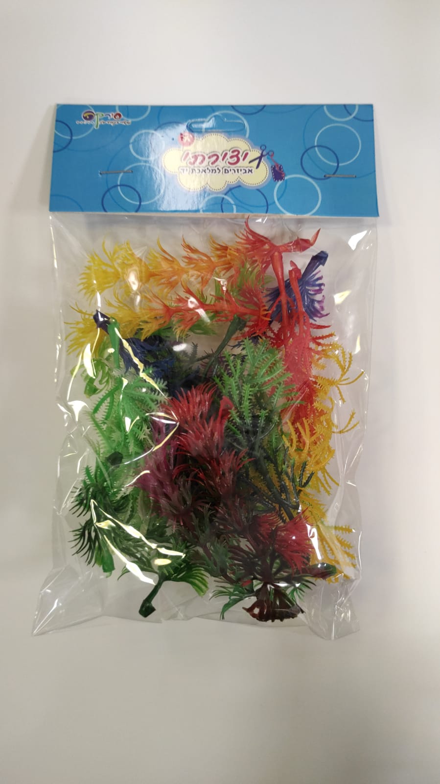 צמחי ים לקישוט