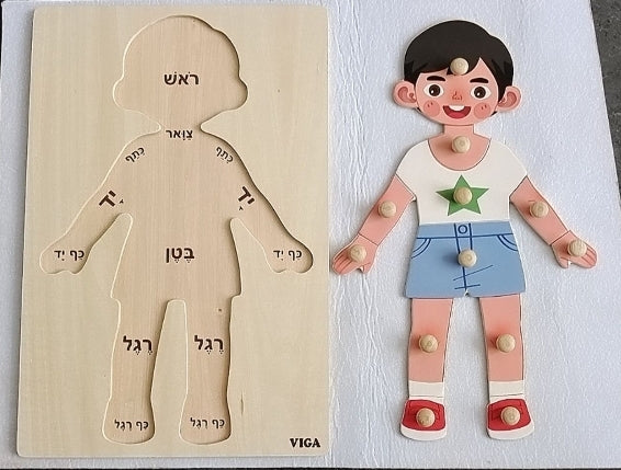 פאזל חלקי הגוף גדול-ילד/ילדה